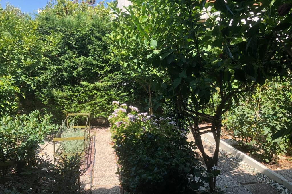 Ανακαινισμενη Μονοκατοικια 125 Τμ Στο Κεντρο Με Κηπο Villa Missolonghi Exterior photo